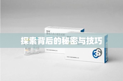 东莞探索背后的秘密与技巧