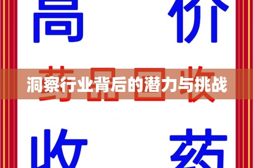 东莞洞察行业背后的潜力与挑战