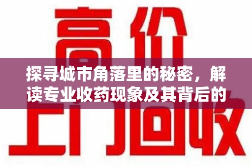 东莞探寻城市角落里的秘密，解读专业收药现象及其背后的故事