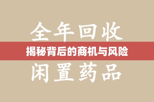 东莞揭秘背后的商机与风险